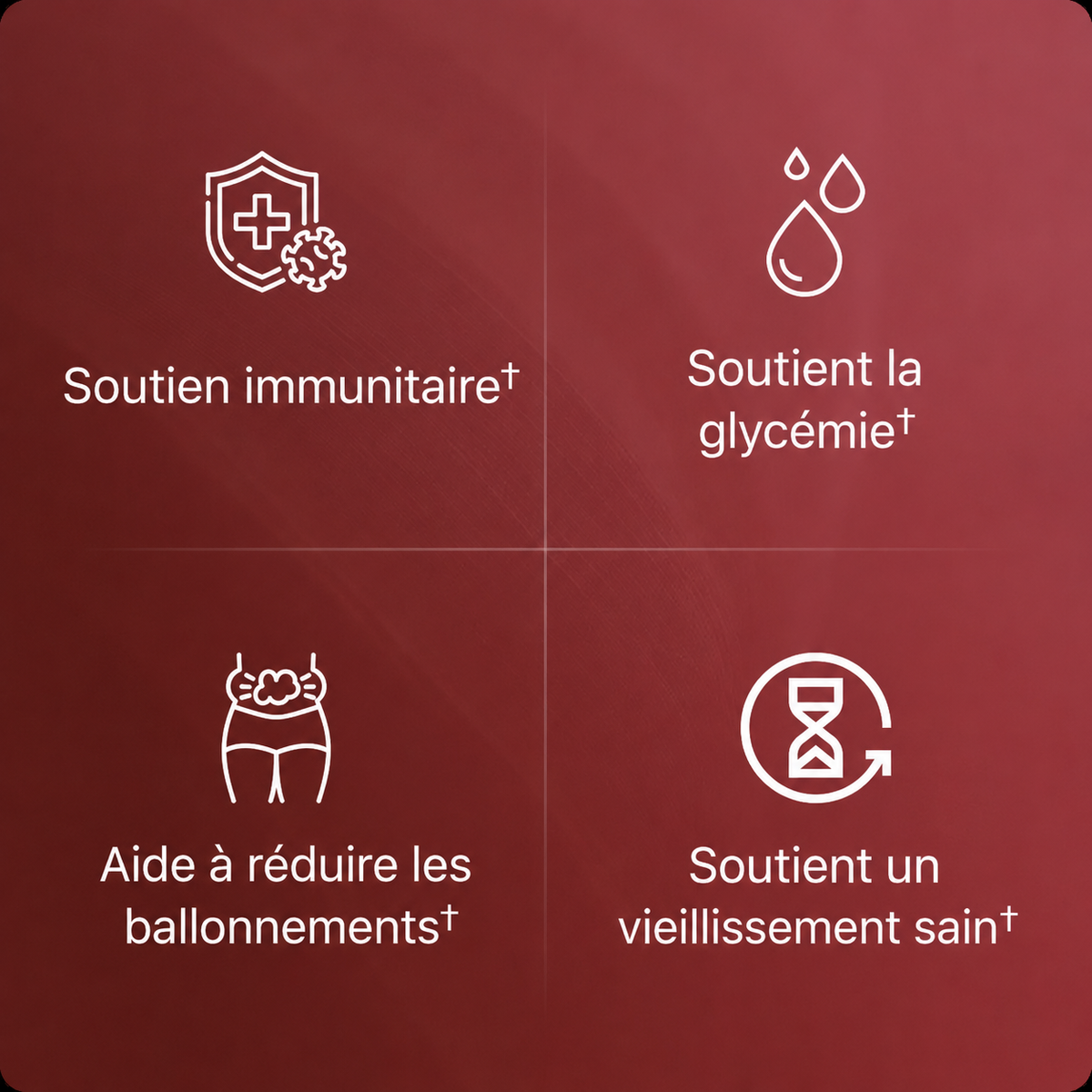 Extrait de grenade bio en gélules