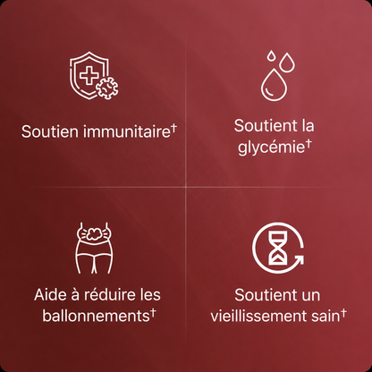 Extrait de grenade bio en gélules