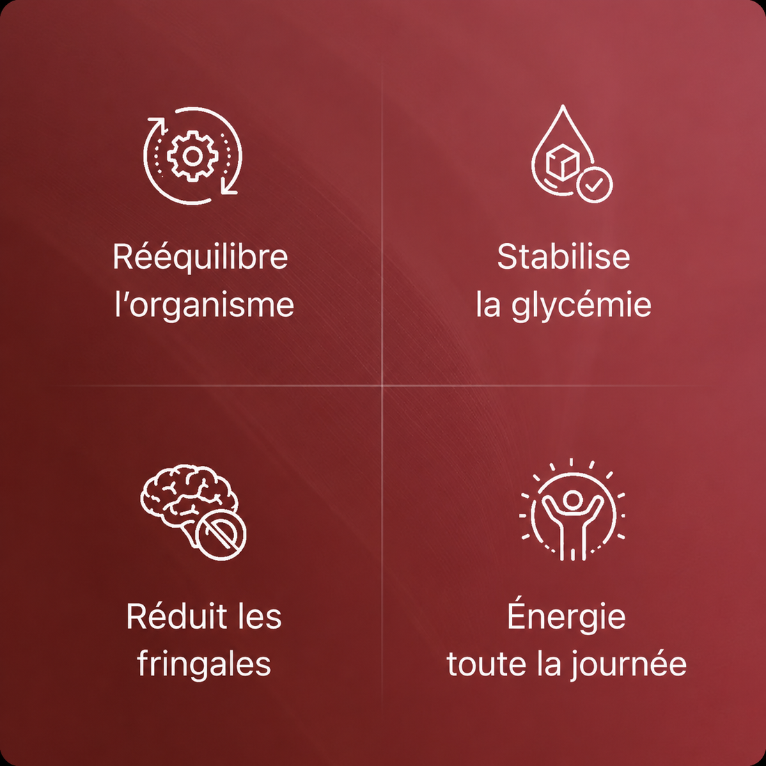 Extrait de grenade bio en gélules